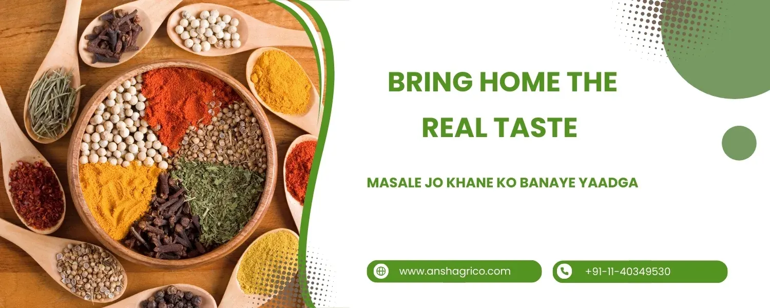 ansh-agrico-banner-4