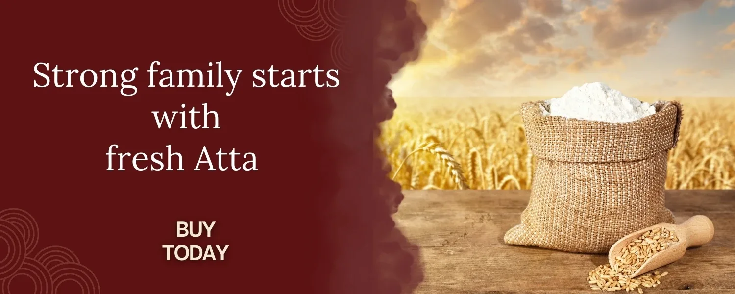 ansh-agrico-banner-2