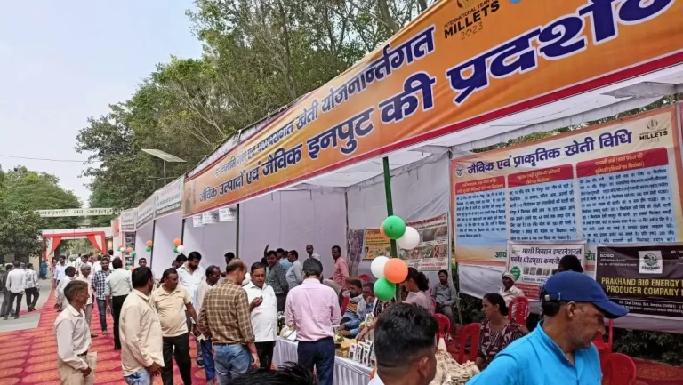 Agriculture Fair (2)