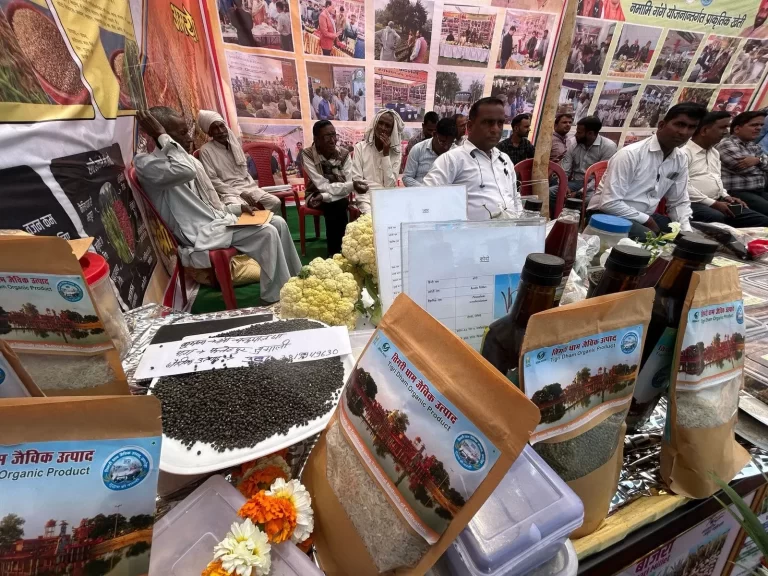 Ramlila Madan Fair (15)