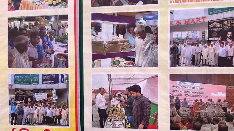 Ramlila Madan Fair (24)