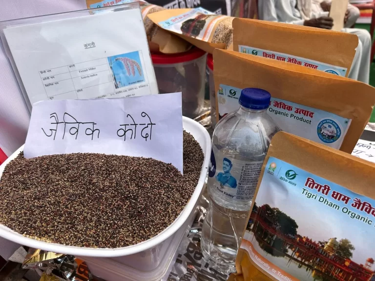 Ramlila Madan Fair (27)