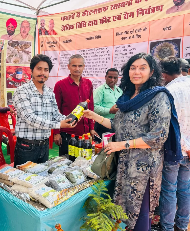 Ramlila Madan Fair (5)