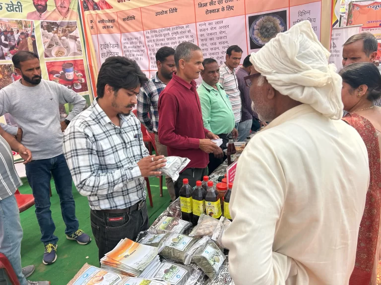 Ramlila Madan Fair (7)