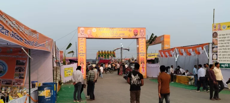 Tigri-Fair-1-nov (10)