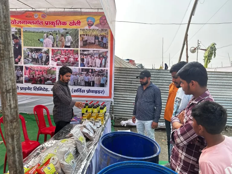 Tigri-Fair-1-nov (14)