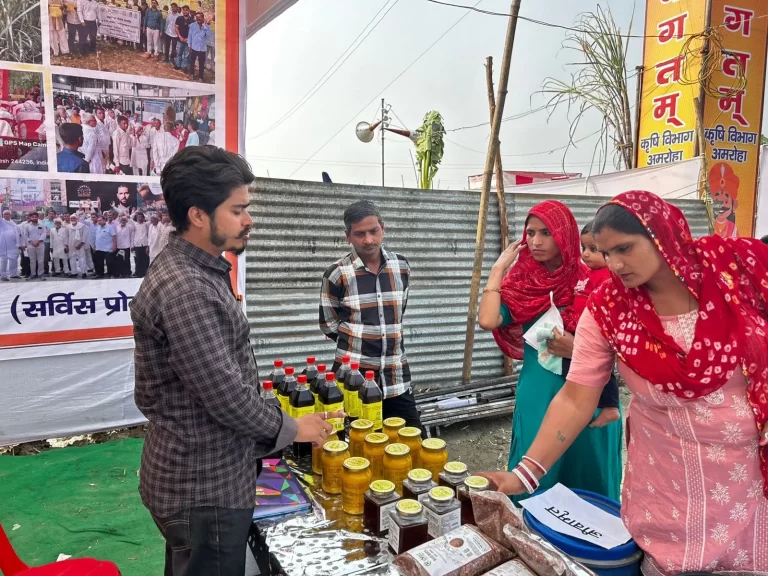 Tigri-Fair-1-nov (15)