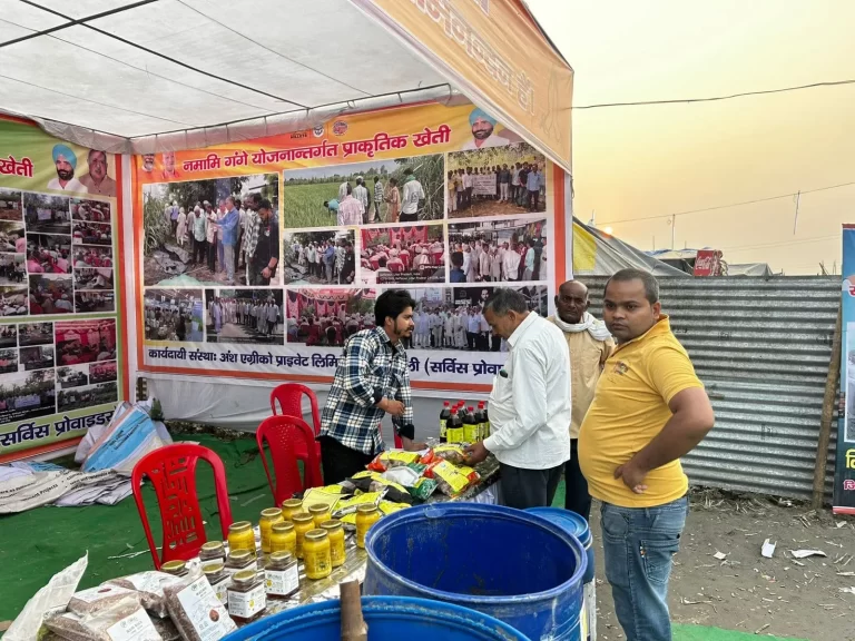 Tigri-Fair-1-nov (18)